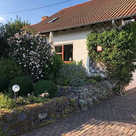 Ferienwohnung Auszeit Losheim Ngoại thất bức ảnh